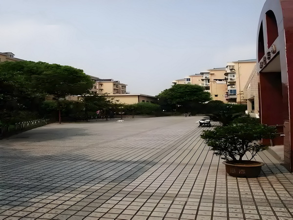深圳市积分落户学历要求_「女性互助」大潮中，为什么《花漾》要呈现女性关系中的「毒性」成分？ 女性互助希望其原谅自己